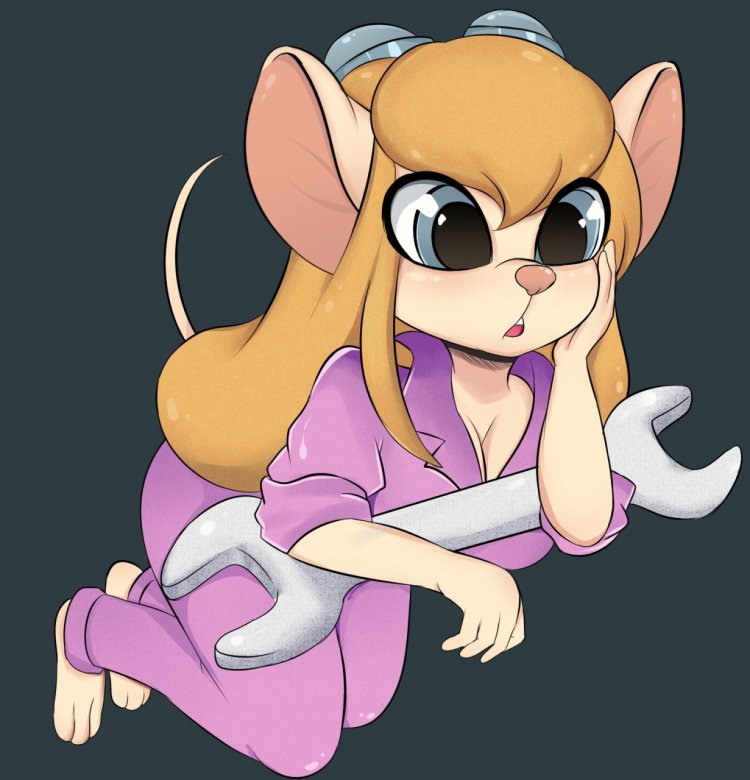 Гайка чип и Дейл 18 чулки