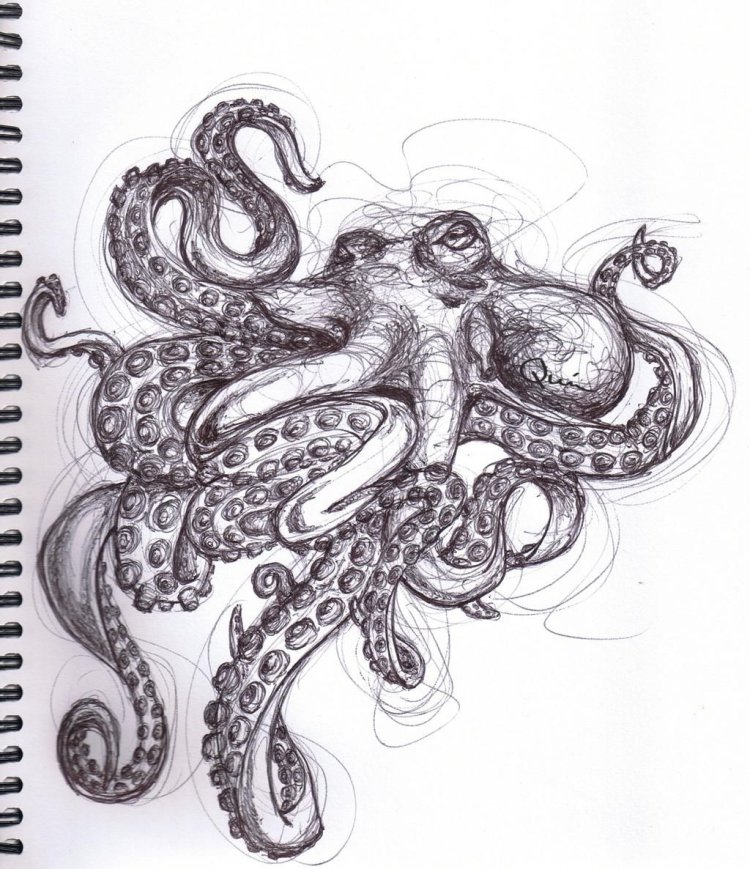 Девушка осьминог рисунок