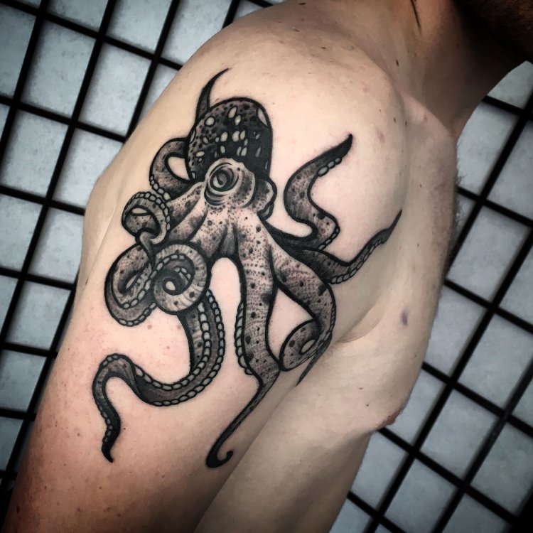 Тату осьминог в стиле скетч
