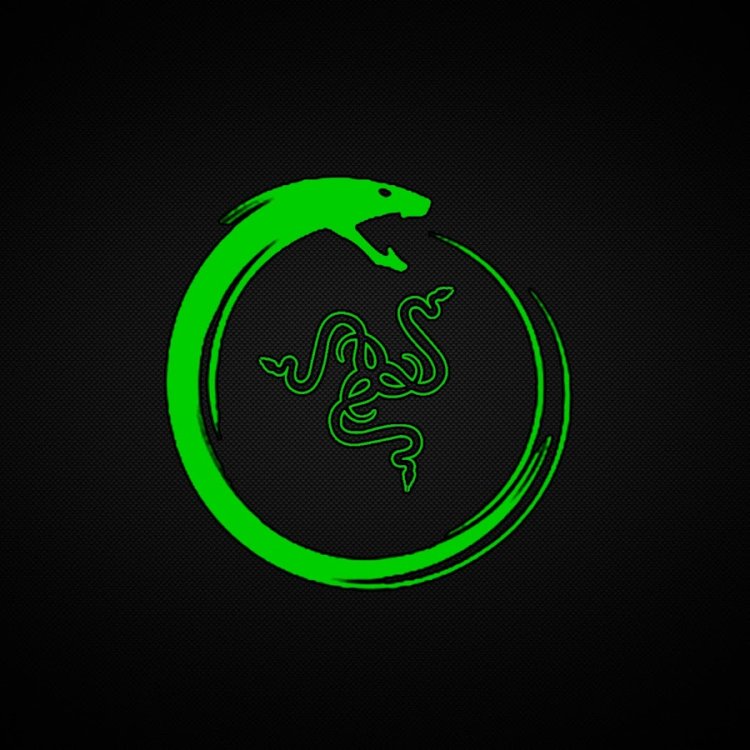 Амина стримерша