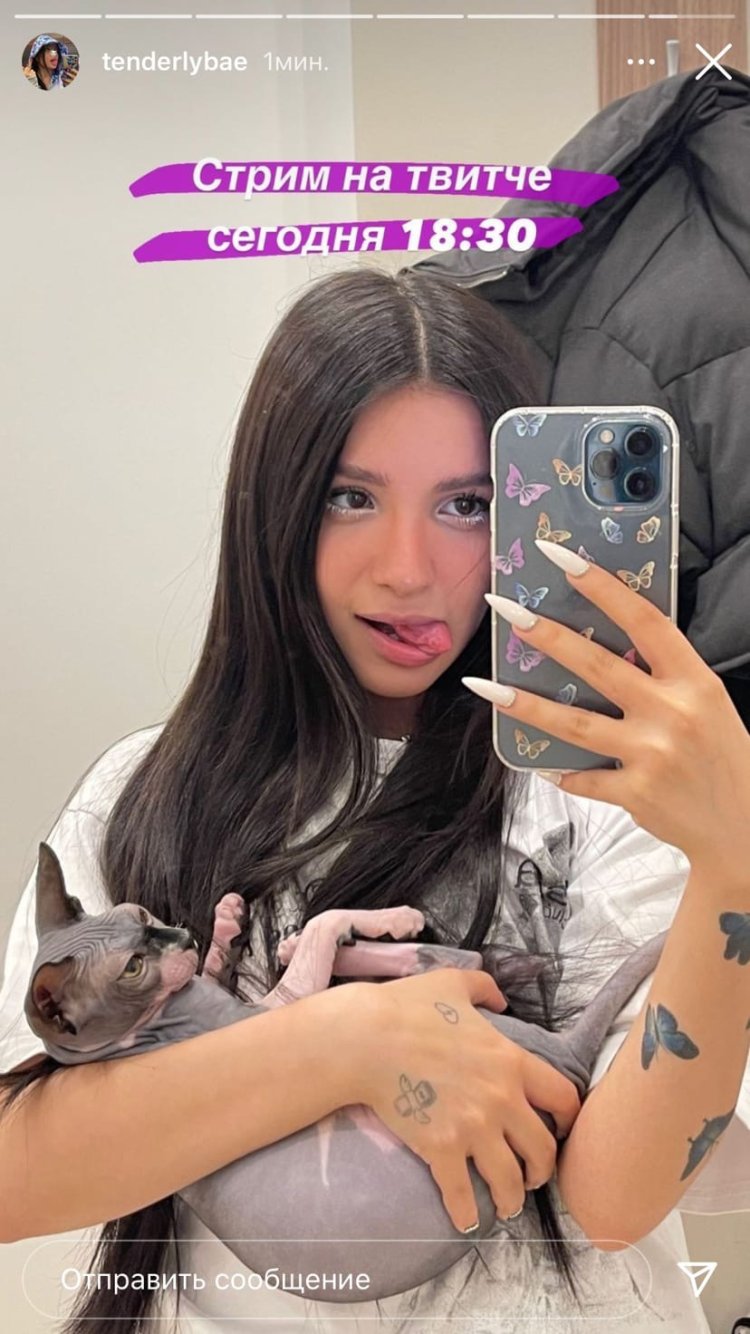 Слив тендерлибае 2022