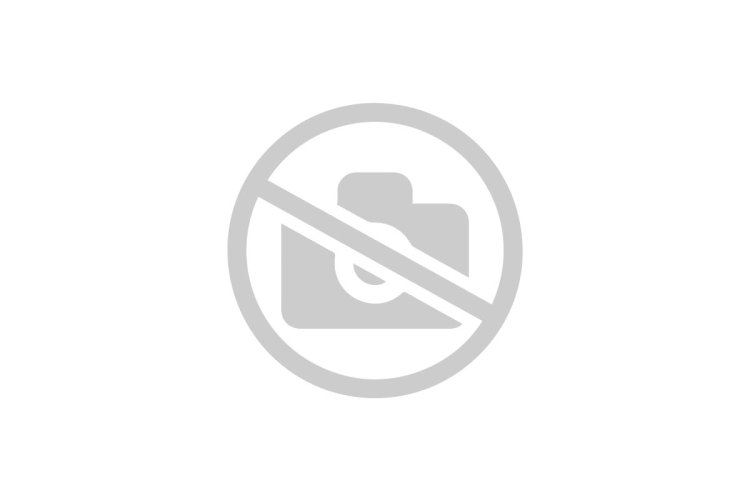 Маргарита журналистка