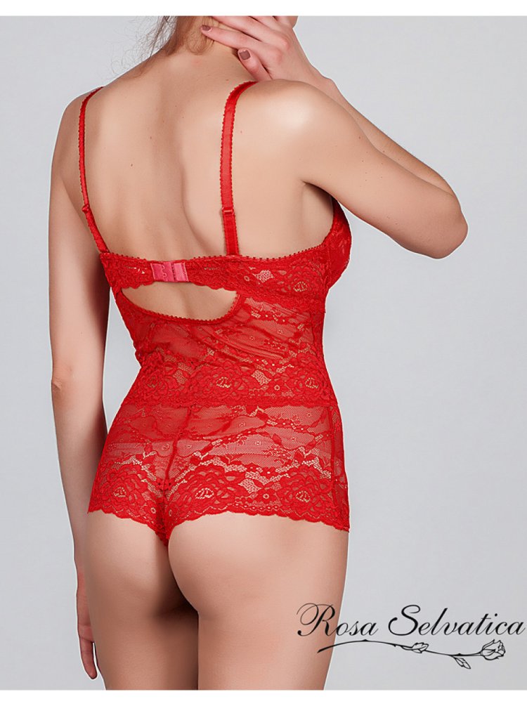 Боди rosa selvatica