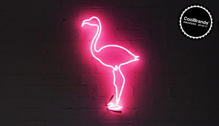 Обои Неоновые необычные