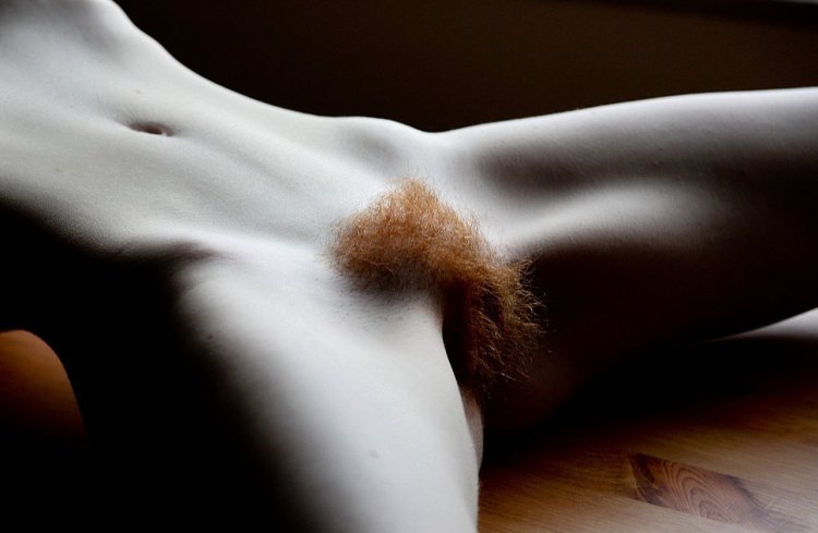 Венерин бугорок Mons Veneris