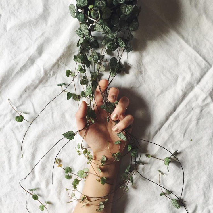 Русая девушка Эстетика