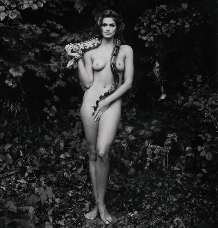 Синди Кроуфорд плейбой