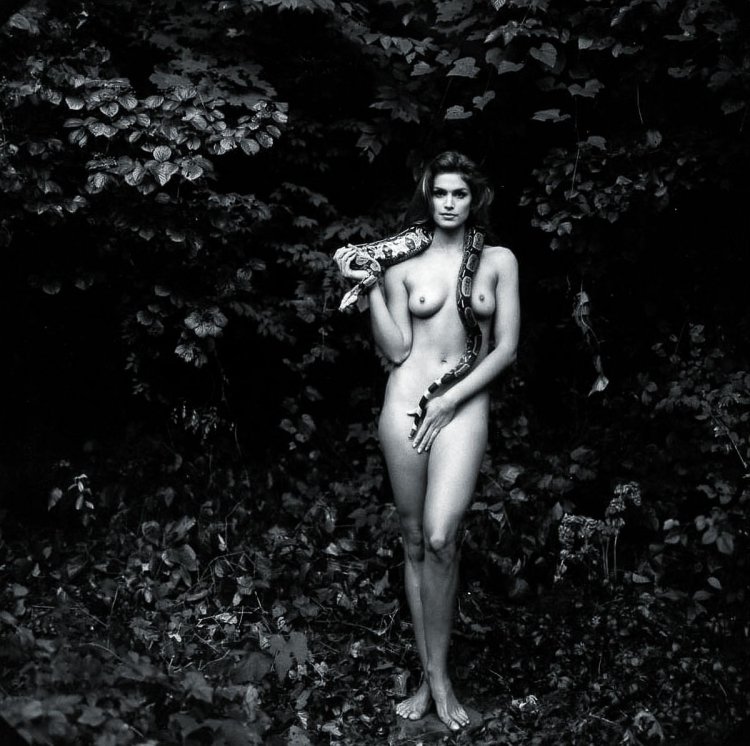 Синди Кроуфорд обнажилась