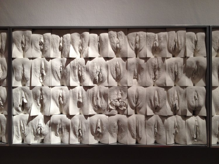 Красивые женские писечки