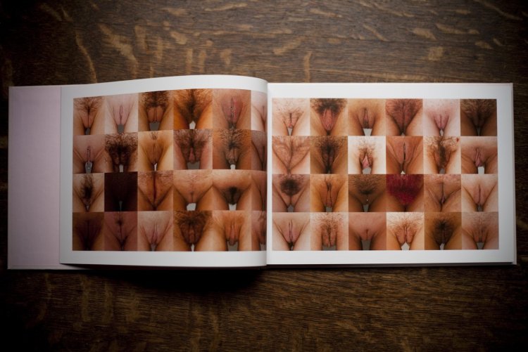 Разные формы женских гениталий