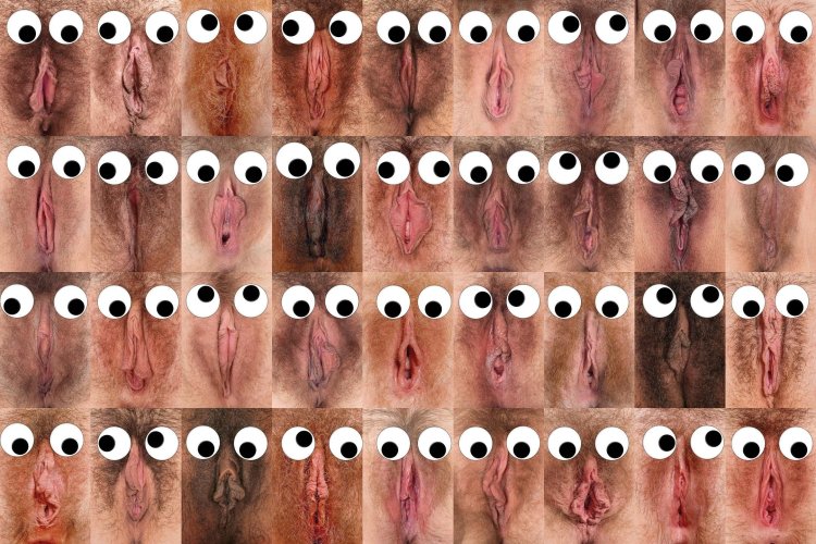Классификация пизды » Смотреть секс порно фото картинки онлайн бесплатно в HD качестве