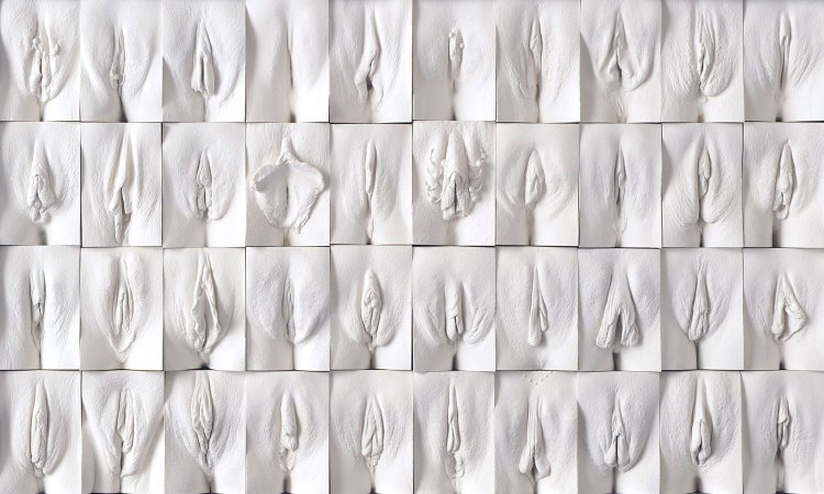 Лица и вагины порнозвёзд