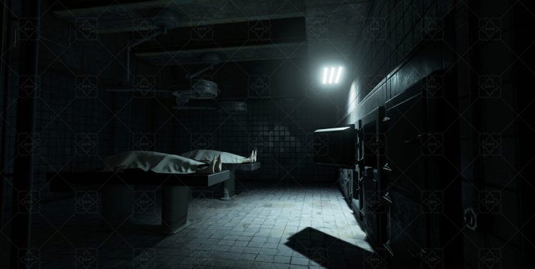 Беременные женщины в морге