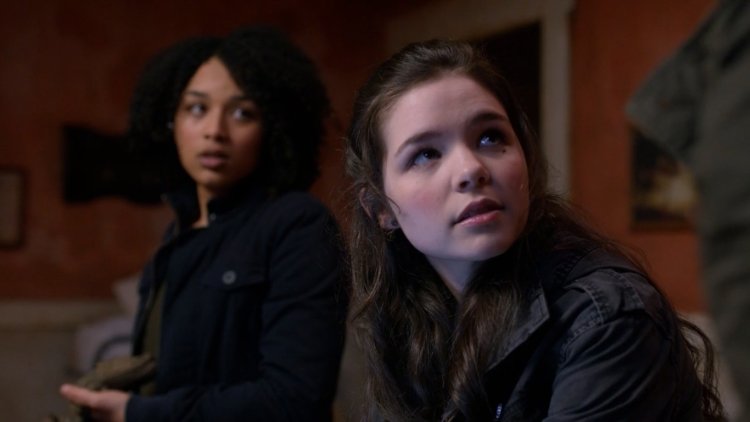 Волчонок Лидия и Джордан