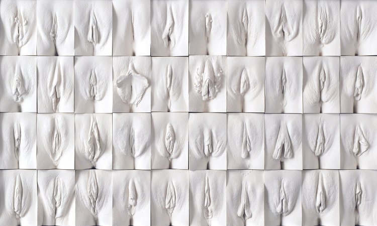 Разновидности вагин фото