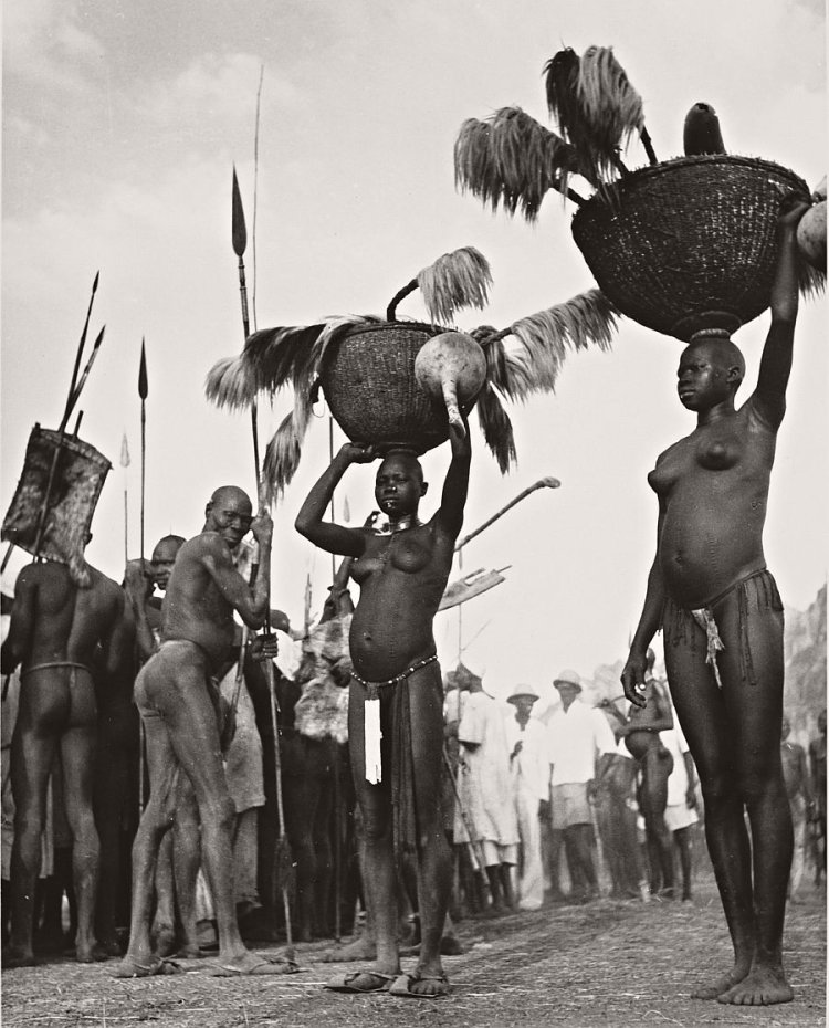 Готтентоты народ африки