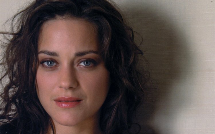 Такси 1998 Марион Котийяр