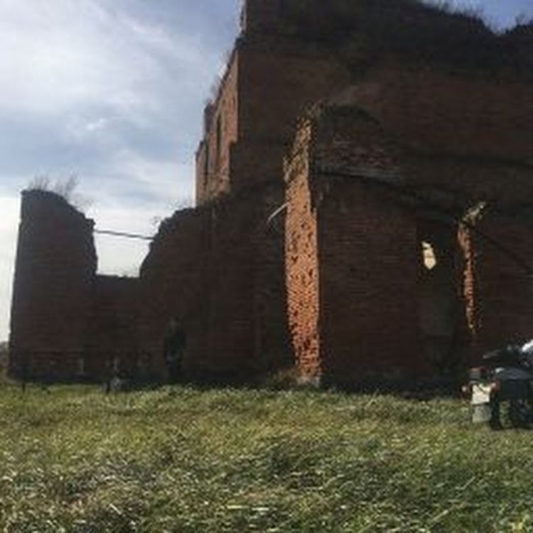 Лиз Катц ахегао