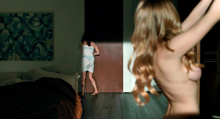 Аманда Сейфрид обнажила