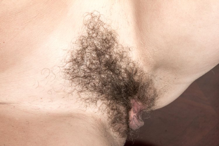 Кудрявые лобки женские