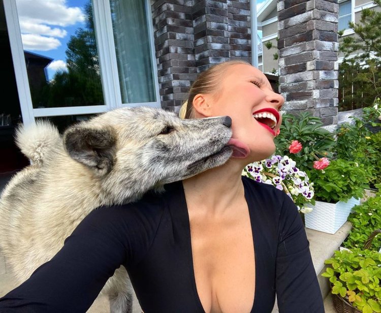 Елена летучая