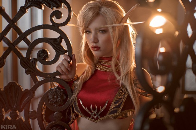 Суккуб АРД Скеллиг