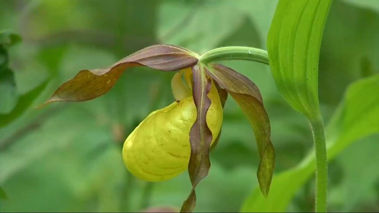 Анастасия Ермолова Инстаграмм
