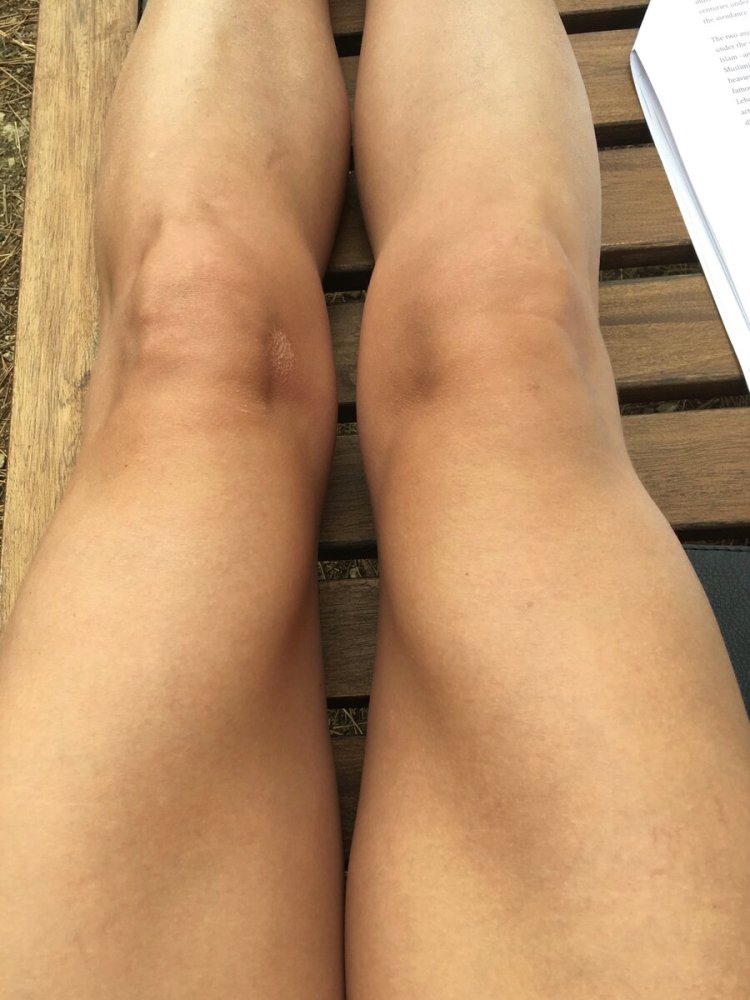 София Корж слив