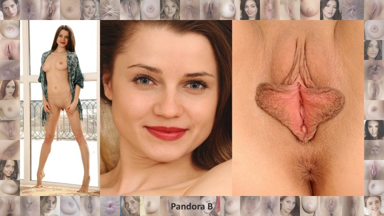 Лицо и вагина фотомодели