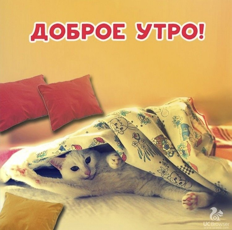 Утро пятницы доброе