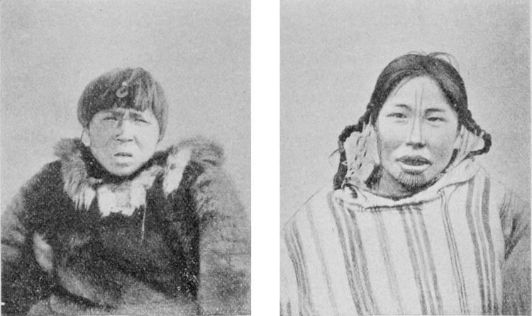 Лаптандер ненцы оленеводы