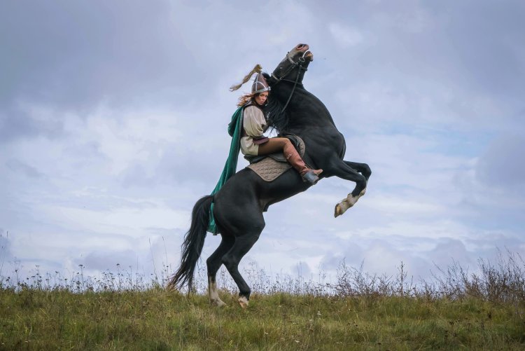 Лошадь с всадником