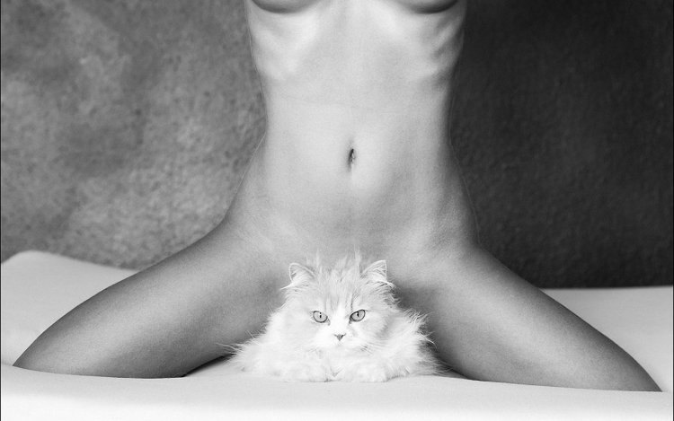 Красивые киски красивых девушек