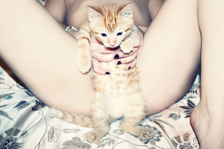 Миленькие киски девушек