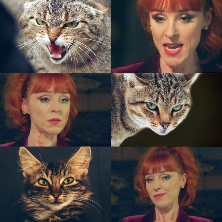 Ровена Маклауд