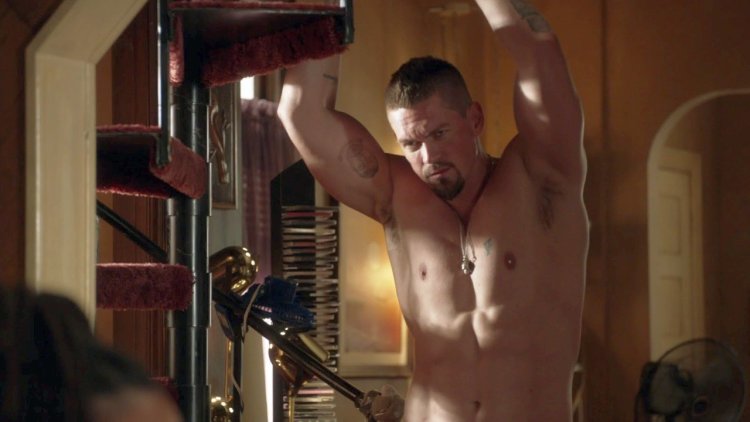 Стив Хоуи бесстыжие член