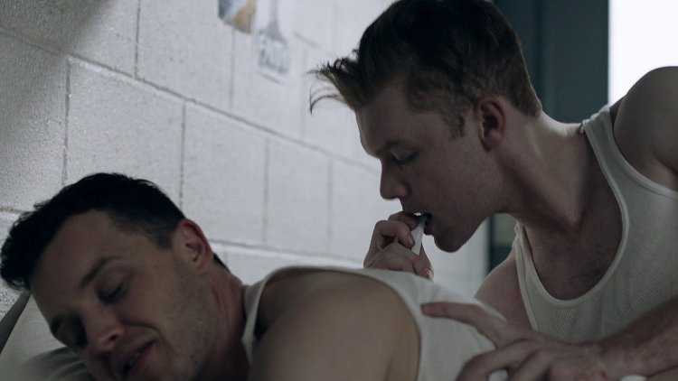 Йен Галлагер и Микки Милкович постельные