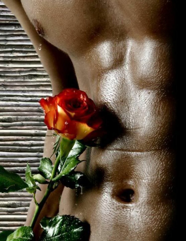 Торс мужчины с розой