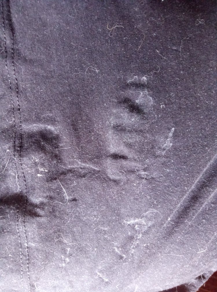 Lisa Ann портрет