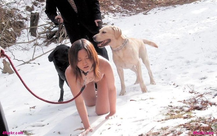 Бдсм рабыня на поводке собака