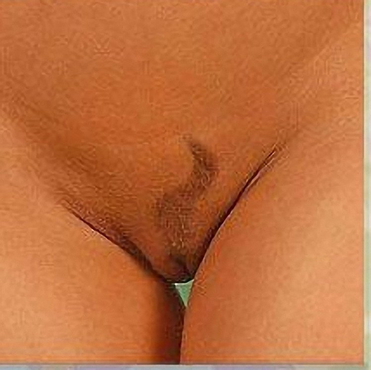 Интимные стрижки у женщин