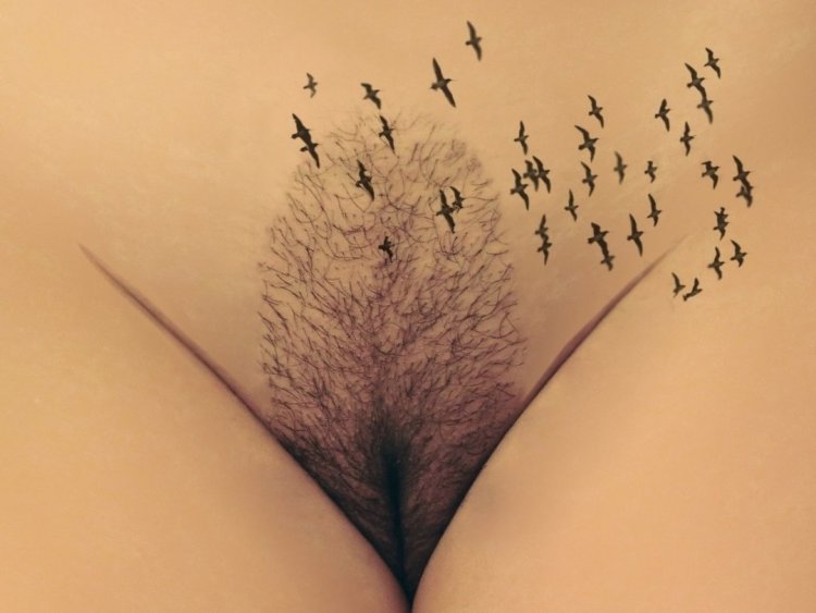 Женские эротические стрижки