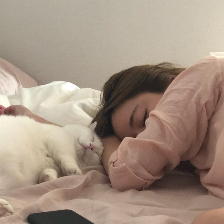 Девушка мило спит