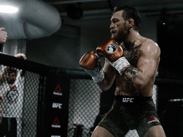 Конор макгрегор ufc