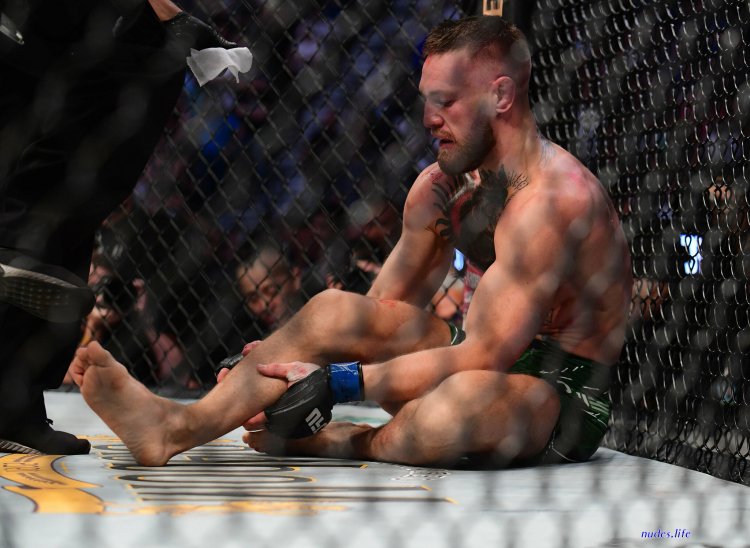 МАКГРЕГОР 65 кг