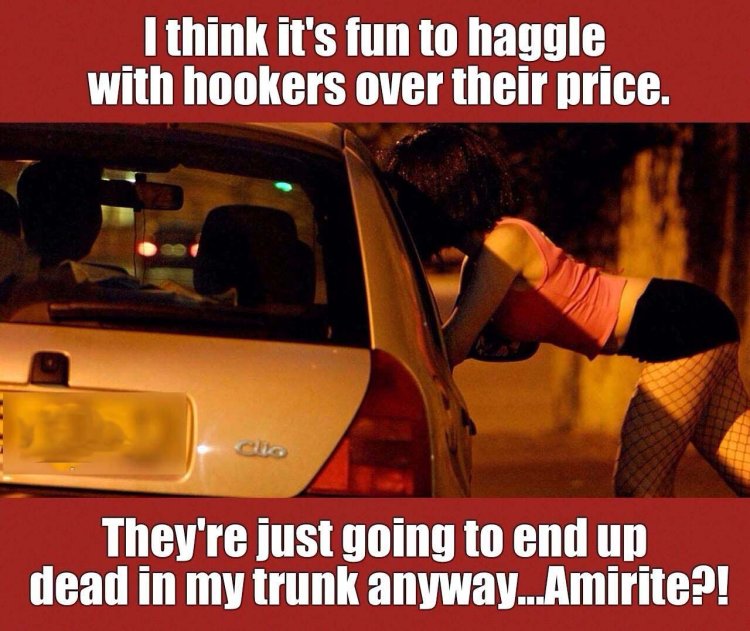 Телочки на трассе