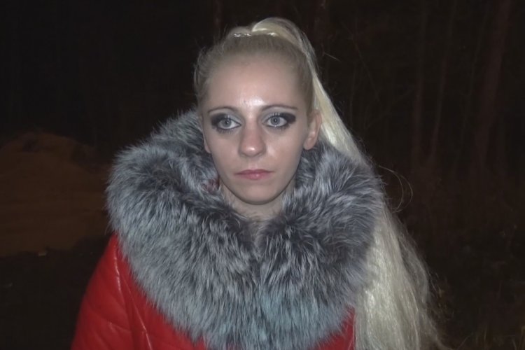 Ночные бабочки на трассе