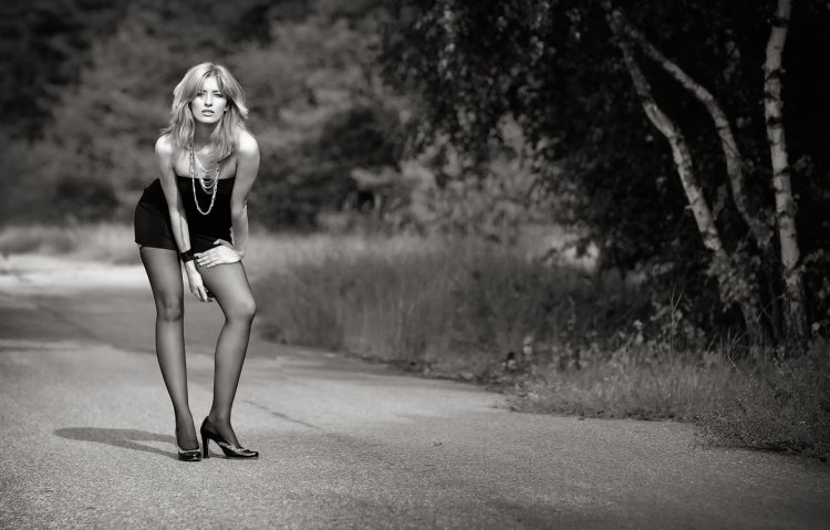 Девушки на Ленинградском шоссе