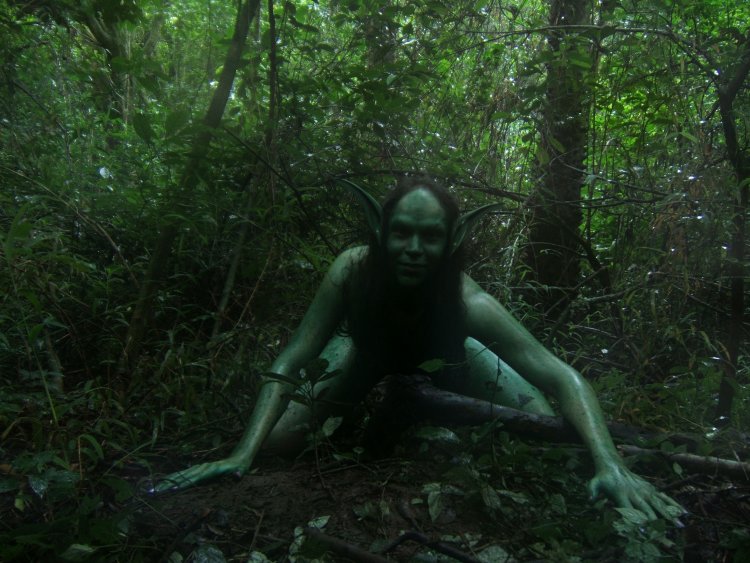 Кикимора болотная в реальной жизни