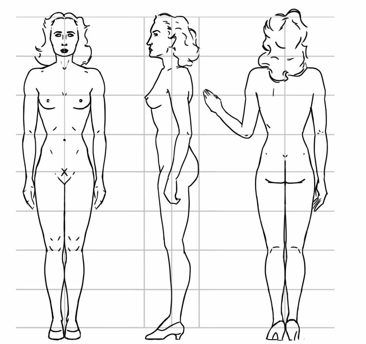 Рисунок женщины спереди и сзади